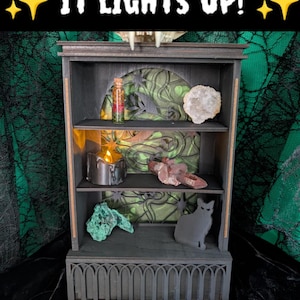 Light Up Witchy Curio Shelf: Gothic Crystal Display with Pressed Flowers