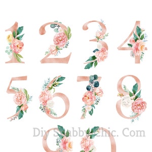 Toboggan Décalcomanies Meubles Shabby Chic Transfert d’image vintage Artisanat Artisanat Scrapbooking Carte De Fabrication Bricolage Numéros Floraux