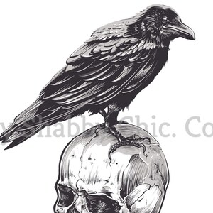 May include: A black crow perched on top of a human skull. The crow is facing to the right and the skull is facing to the left. Both are drawn in a detailed, black and white style.