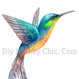 Schneide und Stick Klar weiß Möbel Wand Selbstklebende Aufkleber Vinyl Perlmutt Bastelpapier Aquarell Kolibri