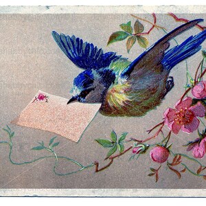 Waterslide Decals Shabby Chic Furniture Image Transfer vintage Antique Home Craft Label Crafts Scrapbooking Card Making DIY Bluebird Card