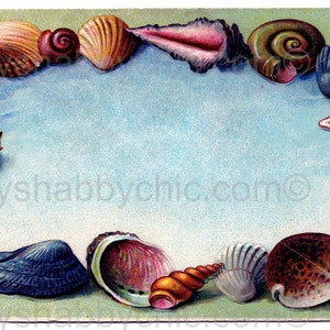 Può includere: Una cartolina vintage con un bordo decorativo di conchiglie di vari colori e forme. Le conchiglie sono disposte in cerchio attorno a uno spazio vuoto al centro. Lo sfondo è di colore azzurro chiaro.