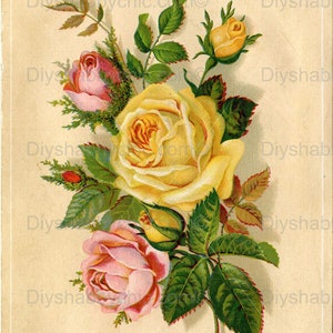 Calcomanías de tobogán Decales Shabby Muebles Chic Transferencia vintage antigua casa artesanía artesanías tarjeta scrapbooking que hace diy rosa amarillo rosa