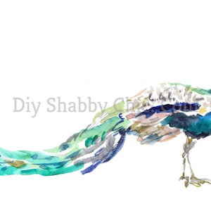 Calcomanías de tobogán de agua, transferencia de imágenes de muebles Shabby Chic, etiquetas para manualidades antiguas de estilo vintage para el hogar, álbumes de recortes, tarjetas, bricolaje, pavo real pintado