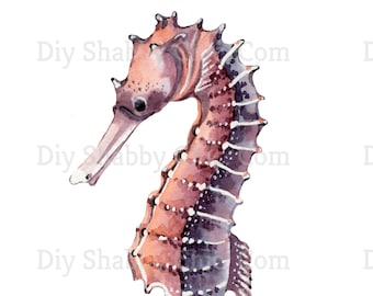 Seahorse Furniture Transfers - Etsy UK