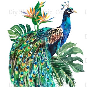 Jungle Peacock Meubels stickers armoedige chique franse afbeelding transfer vintage Antieke home Craft label scrapbooking kaart maken Diy