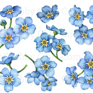 Waterslide Decals Shabby Chic Image Transfer vintage Antique Home Craft Label Crafts Scrapbooking Card Making DIY Blue Forget Me Nots