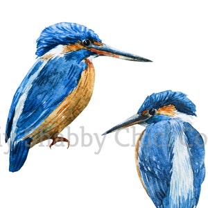 Waterslide Decals Shabby Chic Furniture Image Transfer vintage Antique Home Craft Label Crafts Scrapbooking Card Making DIY 2 Kingfishers