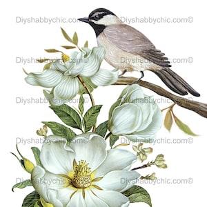 Wasserrutsche Decals Shabby Chic Möbel Bild Transfer Vintage Antike Home Craft Label Handwerk Scrapbooking Karte machen DIY Spatz Rose
