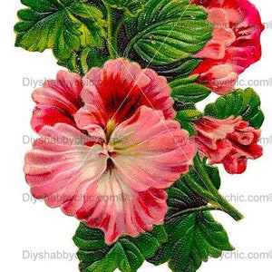 Waterslide Decals Shabby Chic Furniture Image Transfer vintage Antique Home Craft Label Crafts Scrapbooking Card Making DIY Pink Flower