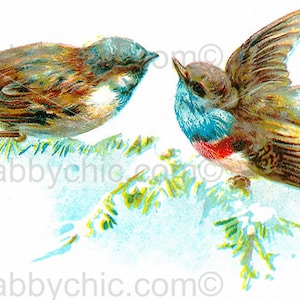 Waterslide Decals Shabby Chic Furniture Image Transfer vintage Antique Home Craft Label Crafts Scrapbooking Card Making DIY Bright Birds