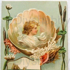 Wasserrutsche Decals Shabby Chic Möbel Bild Transfer Vintage Antike Home Craft Label Handwerk Scrapbooking Karte machen DIY Geburtstag Shell