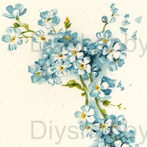 Waterslide Decals Shabby Chic Image Transfer Vintage Antique Home Craft Label Crafts Scrapbooking Card Making DIY Vergeet me bloemen