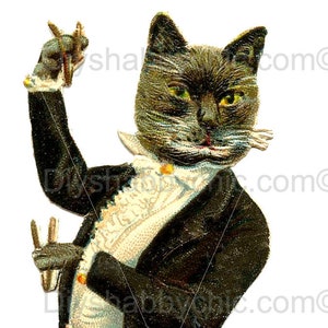 Waterslide Stickers Shabby Chic Furniture Image Transfer Vintage Antique Home Craft Label Crafts Scrapbooking Card Making DIY Cat Tuxedo