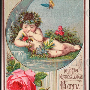 Waterslide Calcomanías Shabby Muebles Chic Transferencia Vintage Antigua Casa Artesanía Etiqueta Artesanías Scrapbooking Tarjeta haciendo DIY Perfume Genuino