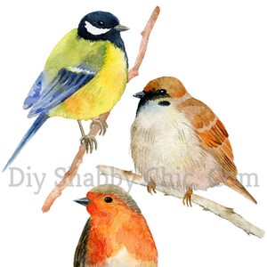 Waterslide Decals Shabby Chic Furniture Image Transfer vintage Antique Home Craft Label Crafts Scrapbooking Card Making DIY English Birds