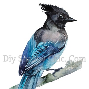 Toboggan Décalcomanies Meubles Shabby Chic Transfert d’image vintage Antique Home Craft Label Artisanat Scrapbooking Card Making DIY Black Blue Bird