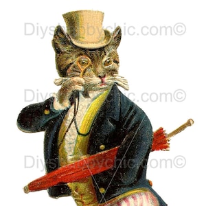 Waterslide Stickers Shabby Chic Furniture Image Transfer Vintage Antique Home Craft Label Crafts Scrapbooking Card Making DIY Cat Man
