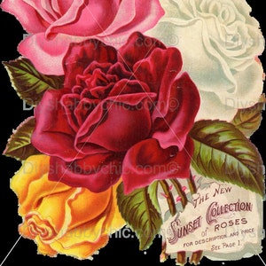 Waterslide Calcomanías Shabby Muebles Chic Transferencia vintage antigua casa artesanía etiqueta artesanías scrapbooking tarjeta haciendo diy sunset rosas