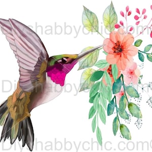 Waterslide Decals Shabby Chic Image Transfer Vintage Antique Home Craft Label Crafts Scrapbooking Card Making DIY Hummingbird Flower