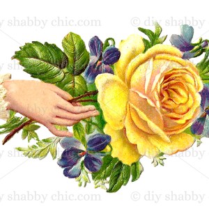 Waterslide Decals Shabby Chic Furniture Image Transfer vintage Antique Home Craft Label Crafts Scrapbooking Card Making DIY Held