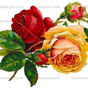 Calcomanías de tobogán de agua Shabby Muebles Chic Transferencia vintage antigua casa artesanía etiqueta artesanías tarjeta scrapbooking haciendo diy rojo rosa amarilla