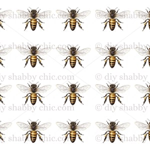 Waterglijbaan stickers shabby chique meubels Afbeelding Transfer Vintage antieke home craft label ambachten scrapbooking kaart maken diy honing hommel