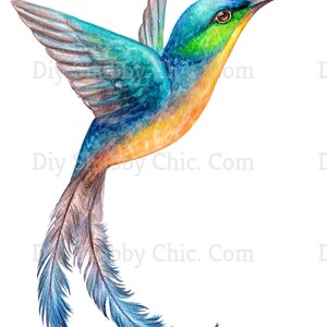 Waterslide Decals Shabby Chic Image Transfer Vintage Antique Home Craft Label Craft Crafts Scrapbooking Card Making DIY Acuarela Colibrí