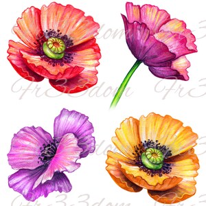 Schneiden & Kleben, Selbstklebende Aufkleber, Möbel, Wandaufkleber, klar, Transfer, Kunst, Collage, Mixed Media, Kinder Aufkleber, 360 gemalte Mohnblumen