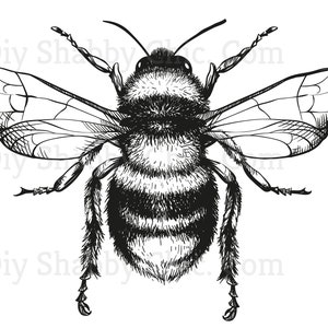Schneiden & Kleben, Selbstklebende Aufkleber, Möbel, Wandaufkleber, klar, Transfer, Kunst, Collage, Mixed Media, Kinderaufkleber, 50 Bee Drawing