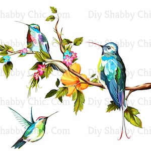 Waterslide Decals Shabby Chic Image Transfer Vintage Antique Home Craft Label Crafts Scrapbooking Card Making DIY Painted Hummingbirds