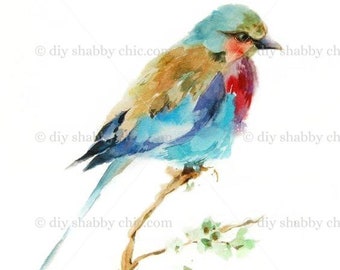 Decalcomania per scivolo acquatico o adesivo trasparente, Fai da te Shabby Chic, Mobili da parete vintage Trasferimento di immagini Antico Artigianato per la casa Arte Upcycle Uccello dell'acquerello