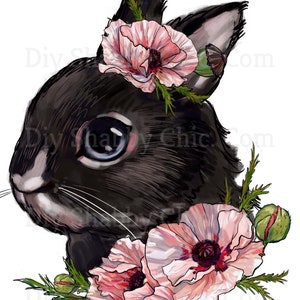Waterslide Stickers Shabby Chic Furniture Image Transfer Vintage Antique Home Craft Label Crafts Scrapbooking Card Making DIY Black Rabbit