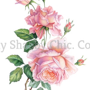 Cut and Stick Klar weiß Möbel Wand Selbstklebende Aufkleber Vinyl Perlmutt Bastelpapier Schöne Rosa Rosen