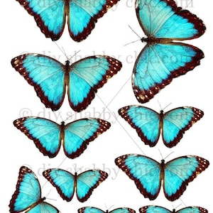 Waterslide Decals Shabby Chic Furniture Image Transfer vintage Antique Home Craft Label Crafts Scrapbooking Card Making DIY Turquoiseblue
