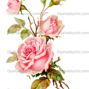 Waterslide Decals Shabby Chic Furniture Image Transfer vintage Antique Home Craft Label Crafts Scrapbooking Card Making DIY Delicate Roses