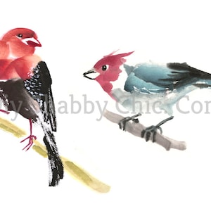 Waterslide Decals Shabby Chic Furniture Image Transfer vintage Antique Home Craft Label Crafts Scrapbooking Card Making DIY Chinese Birds