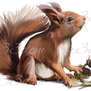 Tobogán de agua Calcomanías Shabby Chic Muebles Transferencia de imagen Vintage Antigüedades Caseras Artesanía Artesanías Scrapbooking Card Making DIY Red squirrel