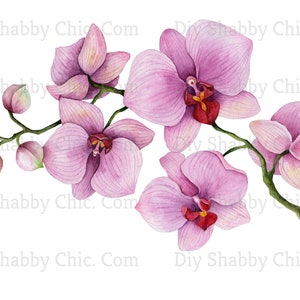 Meubilair Stickers Shabby Chic Franse Afbeelding Transfer Antieke Orchid Flower Home Craft Label Script Srafts Scrapbooking Card Making DIY