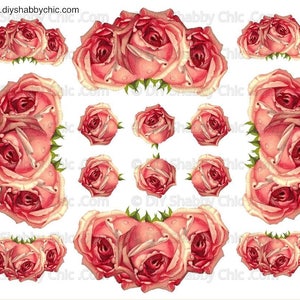 Waterslide Stickers Shabby Chic Furniture Image Transfer Vintage Antique Home Craft Label Crafts Scrapbooking Card Making DIY Coralroses