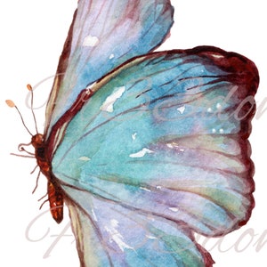 Schneiden & Kleben, Selbstklebende Aufkleber, Möbel, Wandaufkleber, klar, Transfer, Kunst, Collage, Mixed Media, Kinder Aufkleber, 216 Zarter Schmetterling