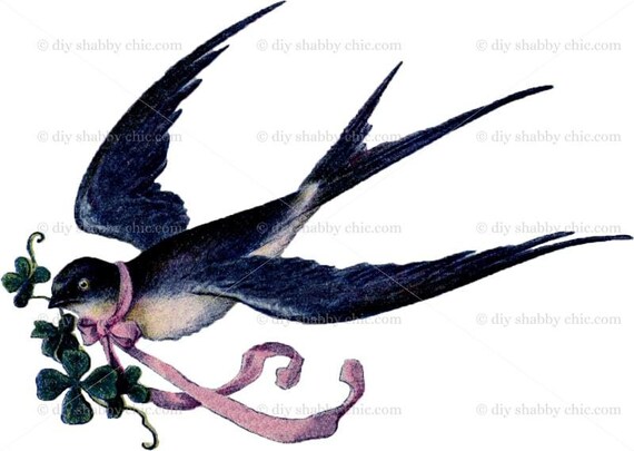 Furniture Decal Vintage Image Transfer Swallows Upcycle Shabby Chic Antique DIY