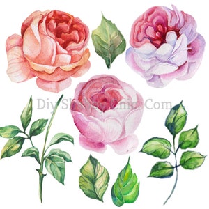 Waterglijbaan stickers Shabby chique meubels Afbeelding Transfer Vintage Antieke Home Craft Label Scrapbooking Card Making DIY Pioenroos schilderij