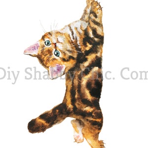 Cut and Stick Klar weiß Möbel Wand Selbstklebende Aufkleber Vinyl Perlmutt Bastelpapier Katze Stretch