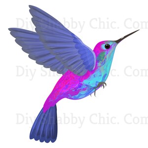 Cut & Stick, Selbstklebende Aufkleber, Wandaufkleber, Möbel, Klar, Transfer, Kunst, Collage, Mixed Media, Kinder Aufkleber, 79 Digital Kolibri