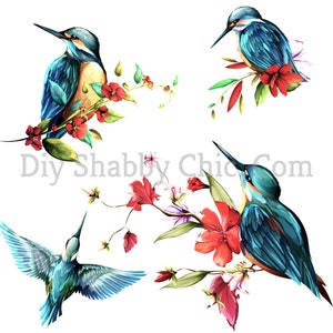 Cut and Stick Klar weiß Möbel Wand Selbstklebende Aufkleber Vinyl Perlmutt Bastelpapier 4 Eisvogel