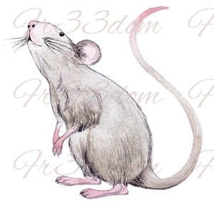 Tobogán de agua Calcomanías Shabby Chic Muebles Transferencia de imagen Vintage Antigüedades Caseras Artesanía Etiqueta Artesanías Scrapbooking Card Making DIY Smelling Mouse