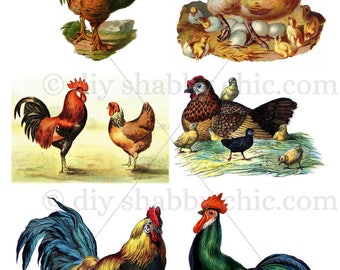 Waterslide Decals Shabby Chic Furniture Image Transfer Vintage Antique Home Craft Label Crafts Scrapbooking Card Making DIY Chicken Poultry