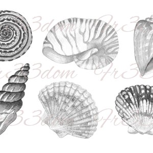 Tobogán de agua Calcomanías Shabby Chic Muebles Transferencia de imagen Vintage Antigüedades Caseras Artesanía Artesanía Scrapbooking Card Haciendo bricolaje 6 Conchas Bw