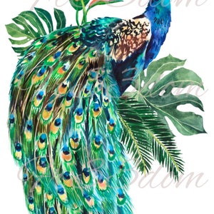Schneiden & Kleben, Selbstklebende Aufkleber, Möbel, Wandaufkleber, klar, Transfer, Kunst, Collage, Mixed Media, Kinder Aufkleber, 114 Dschungel Pfau